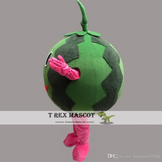 Watermelone Cartoon Mascot Costume