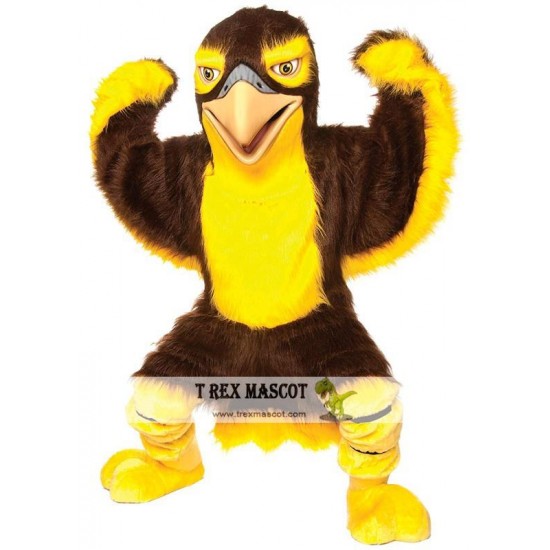 Friendly Falcon Mascot Costume