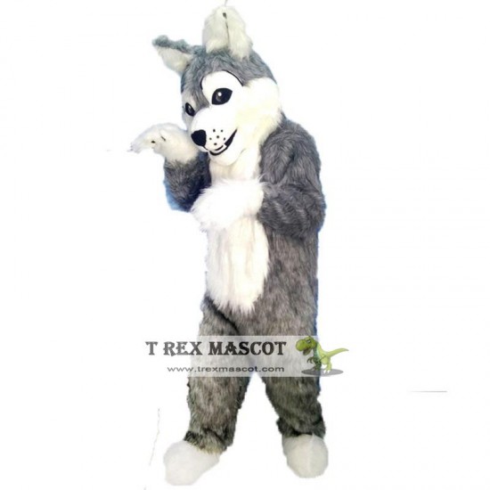 Long gray wolf Mascot Costume