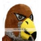 Falcon Mascot Costume