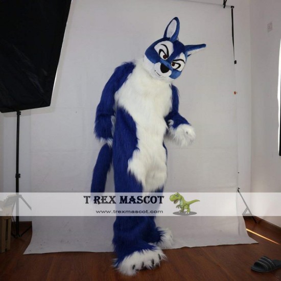 Long hair blue Wolf Mascot Costume