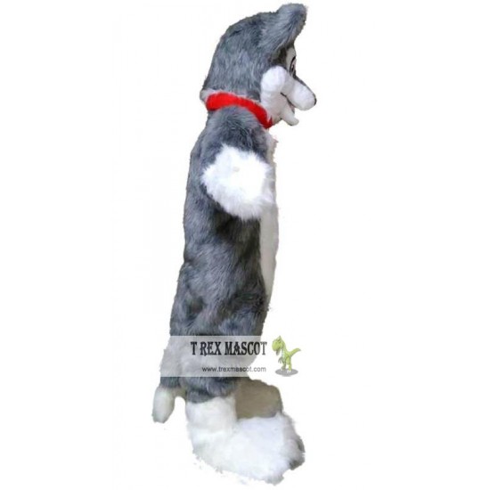 Grey Wolf Mascot Costume