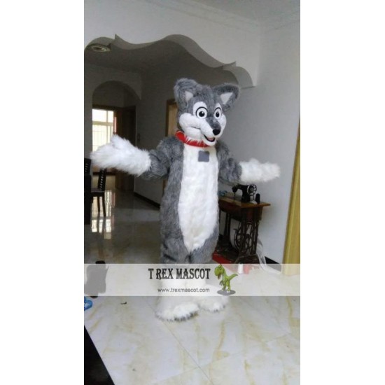 Grey Wolf Mascot Costume