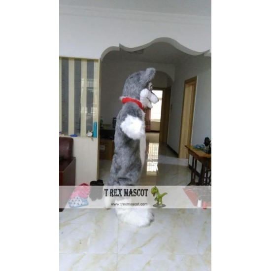 Grey Wolf Mascot Costume