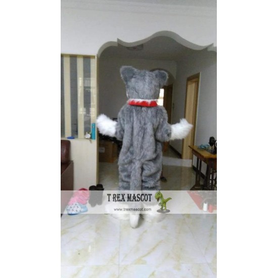 Grey Wolf Mascot Costume