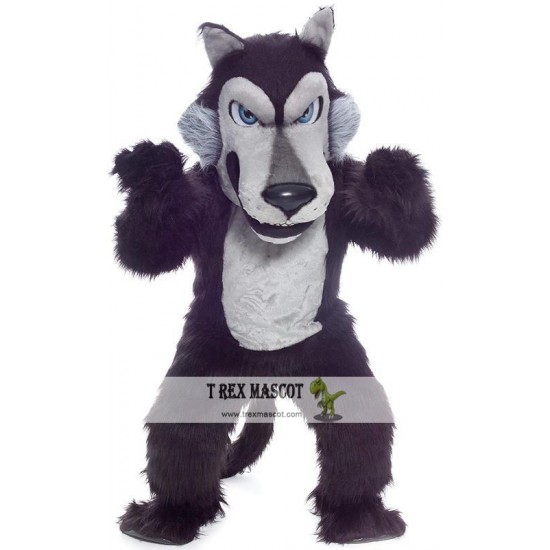 Black Wolf Mascot Costume