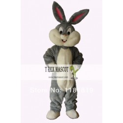 Easter Bunny / Rabbit Mascot Costume