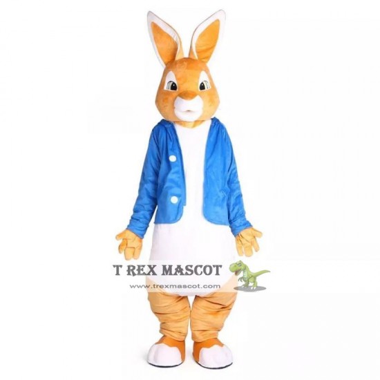 Easter Peter Rabbit Bunny Mascot Costume