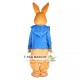 Easter Peter Rabbit Bunny Mascot Costume