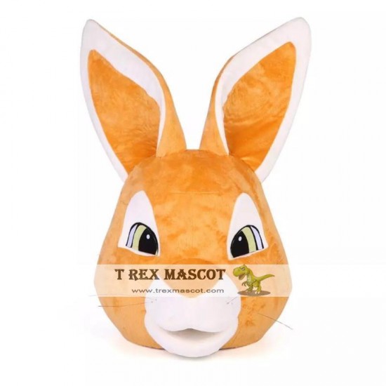 Easter Peter Rabbit Bunny Mascot Costume