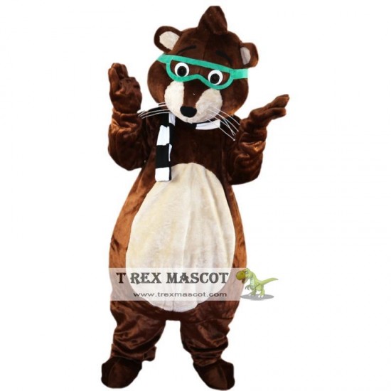 Glasses Mouse / Raccoon Mascot Costume