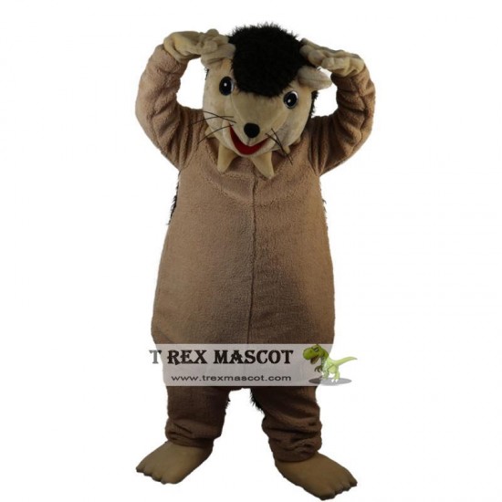 Hedgehog Porcupine Mascot Costume