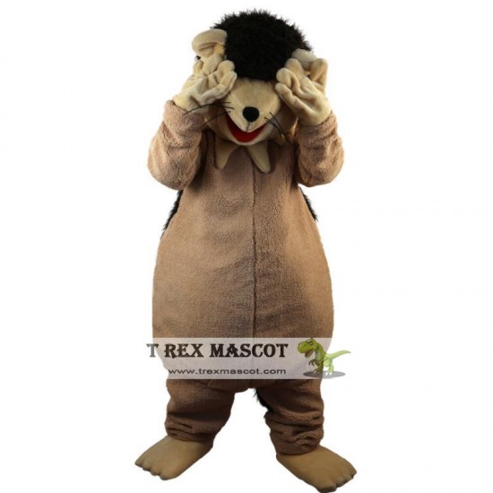 Hedgehog Porcupine Mascot Costume