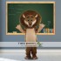 Lion Mascot Costumes for Adult