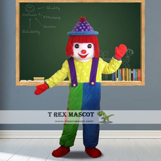 Clown Mascot Costumes for Adult