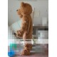 Long Plush Hair Lion Mascot Costume