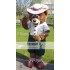 Buddy Bear Crealy Park In Devon Mascot Costume