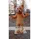 Bear Mascot Costume