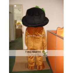 Long Hair Plush Brown Teddy Bear Mascot Costume