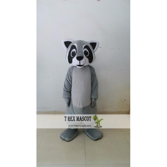 Little Raccoon Mascot Costumes