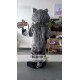 Racoon Mascot Costume Adult