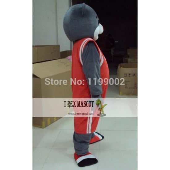 Bear Mascot Costumes Grey Bear