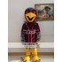 Falcon Mascot Hawk Eagle Mascot Costume