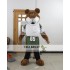 Sport Lion Mascot Costumes