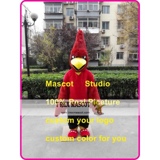 Red Jay Mascot Costume Red Cardinal