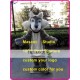 Grey Big Wolf Mascot Costume Plush Wolf