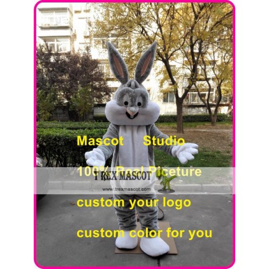 Easter Bunny Mascot Costume Easter Bugs Rabbit