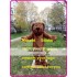 Plush Dog Mascot Costume