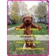 Plush Dog Mascot Costume