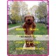 Plush Dog Mascot Costume