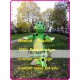 Frog Mascot Costume