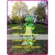 Frog Mascot Costume