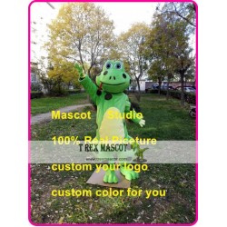 Frog Mascot Costume