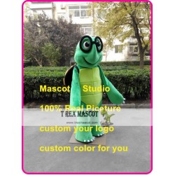 Turtle Mascot Costume Tortoises