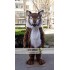 Wildcat Mascot Wild Cat Bobcat Costume