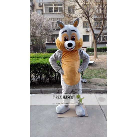 Grey Squirrel Mascot Costume