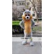 Grey Squirrel Mascot Costume