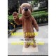 Dog Mascot Costume