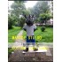 Rhino Mascot Rhinoceros Costume Cartoon Character