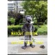 Grey Rat Mouce Mascot Costume