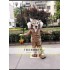 Bobcat Mascot Costume Cougar