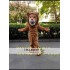 Lion Mascot Costume