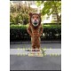 Lion Mascot Costume