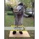 Boar Mascot Wild Pig Mascot Costume