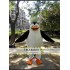 Penguin Mascot Costume