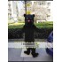 Black Panther Mascot Costume Black Wildcat